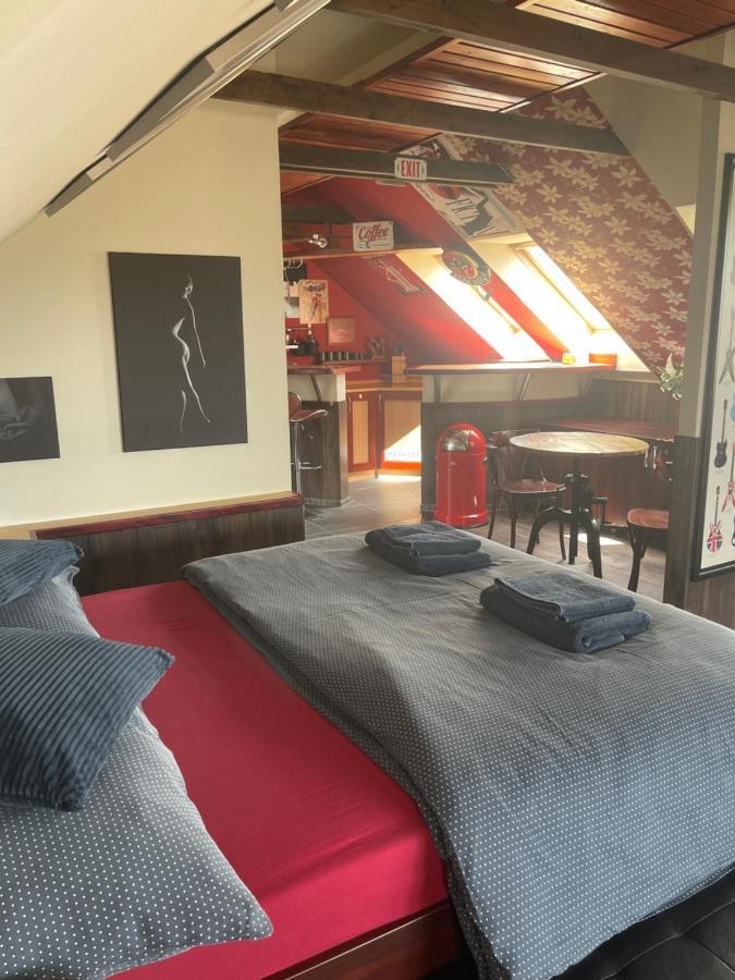Stylove Apartmanky Frýdek-Místek Kültér fotó