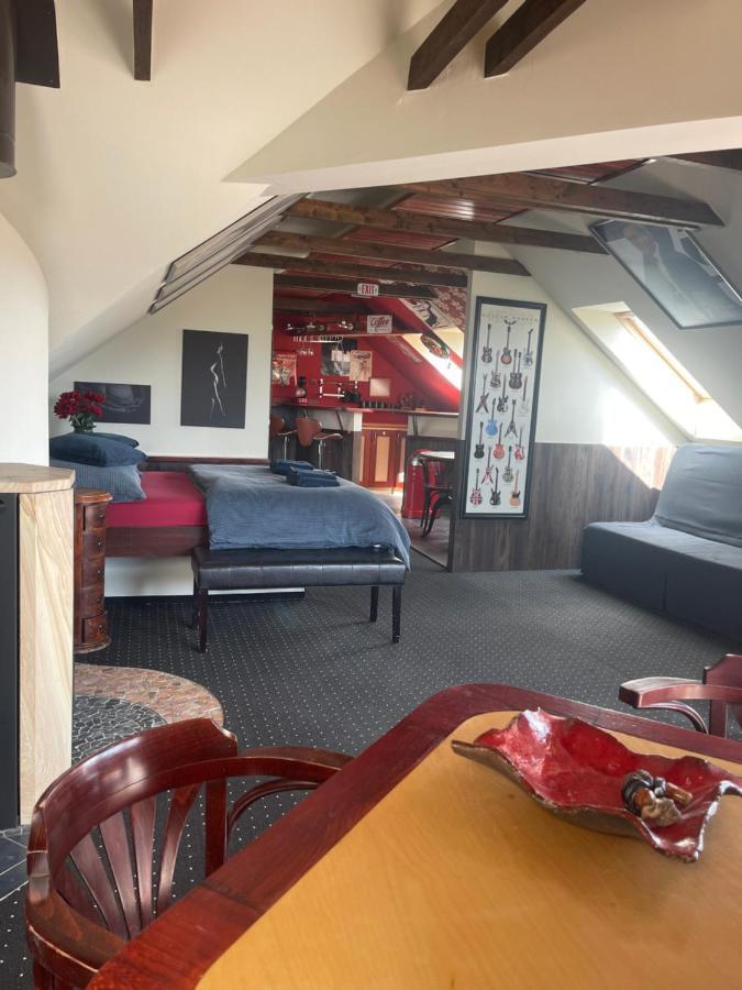 Stylove Apartmanky Frýdek-Místek Kültér fotó